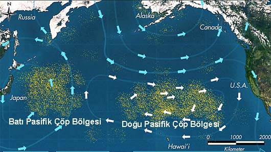 Pasifik Ã§Ã¶p girdabÄ± ile ilgili gÃ¶rsel sonucu