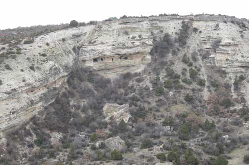 Anadolu Panteri, Leopar, Pars.. (ARV)