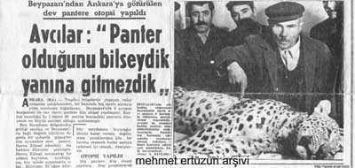 Anadolu Panteri, Leopar, Pars.. (ARV)